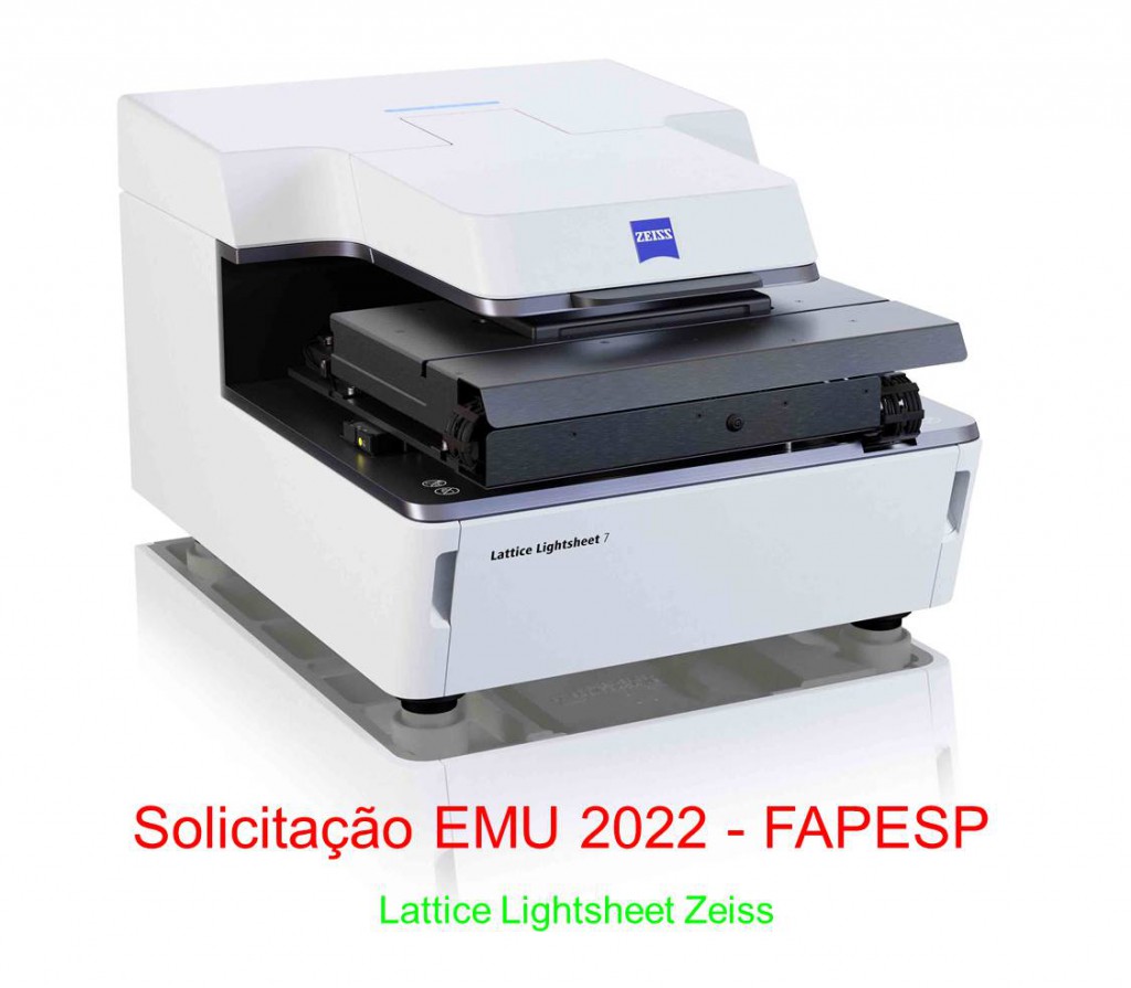 Lattice Lightsheet Zeiss