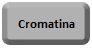 Cromatina