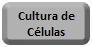 Cultura de celulas