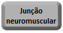 Juncao Neuromuscular