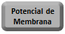Potencial membrana