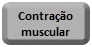 Contracao muscular