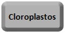 cloroplastos