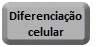 Diferenciao celular