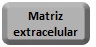 Matriz Extracelular