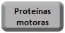 proteínas motoras